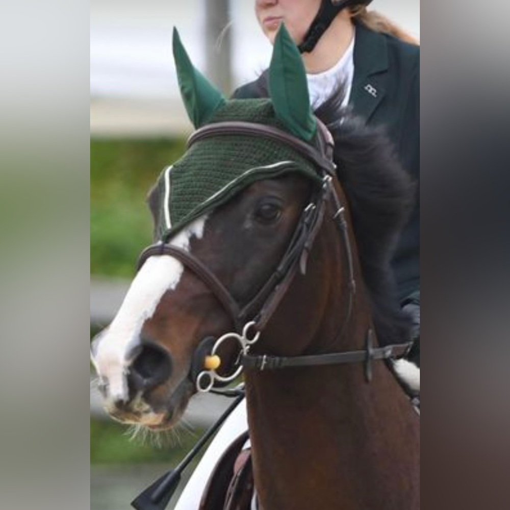 green tie down custom bonnet fly veil equestrian